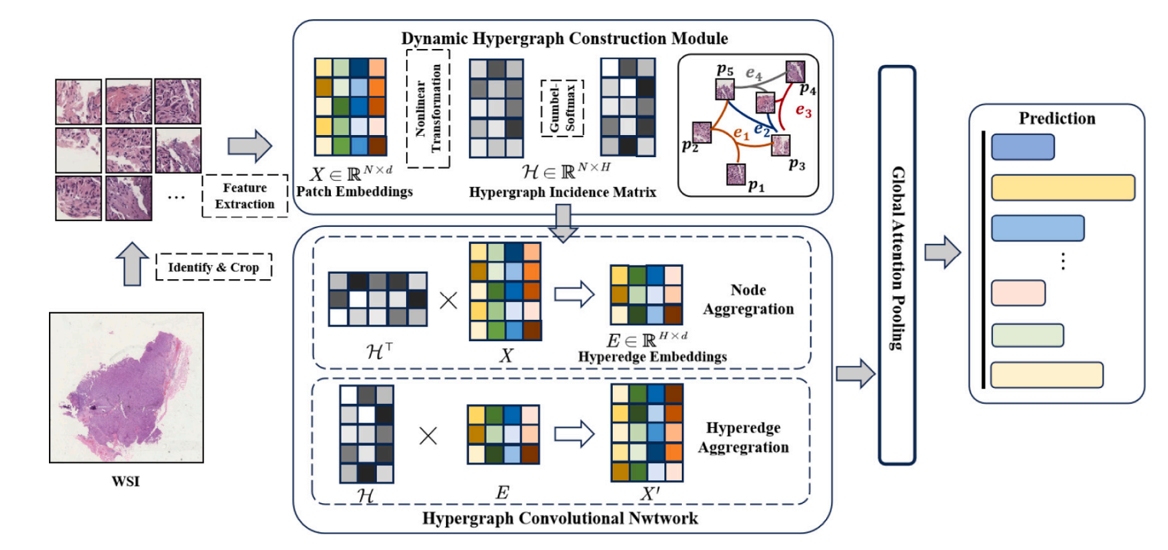 Dynamic Hypergraph