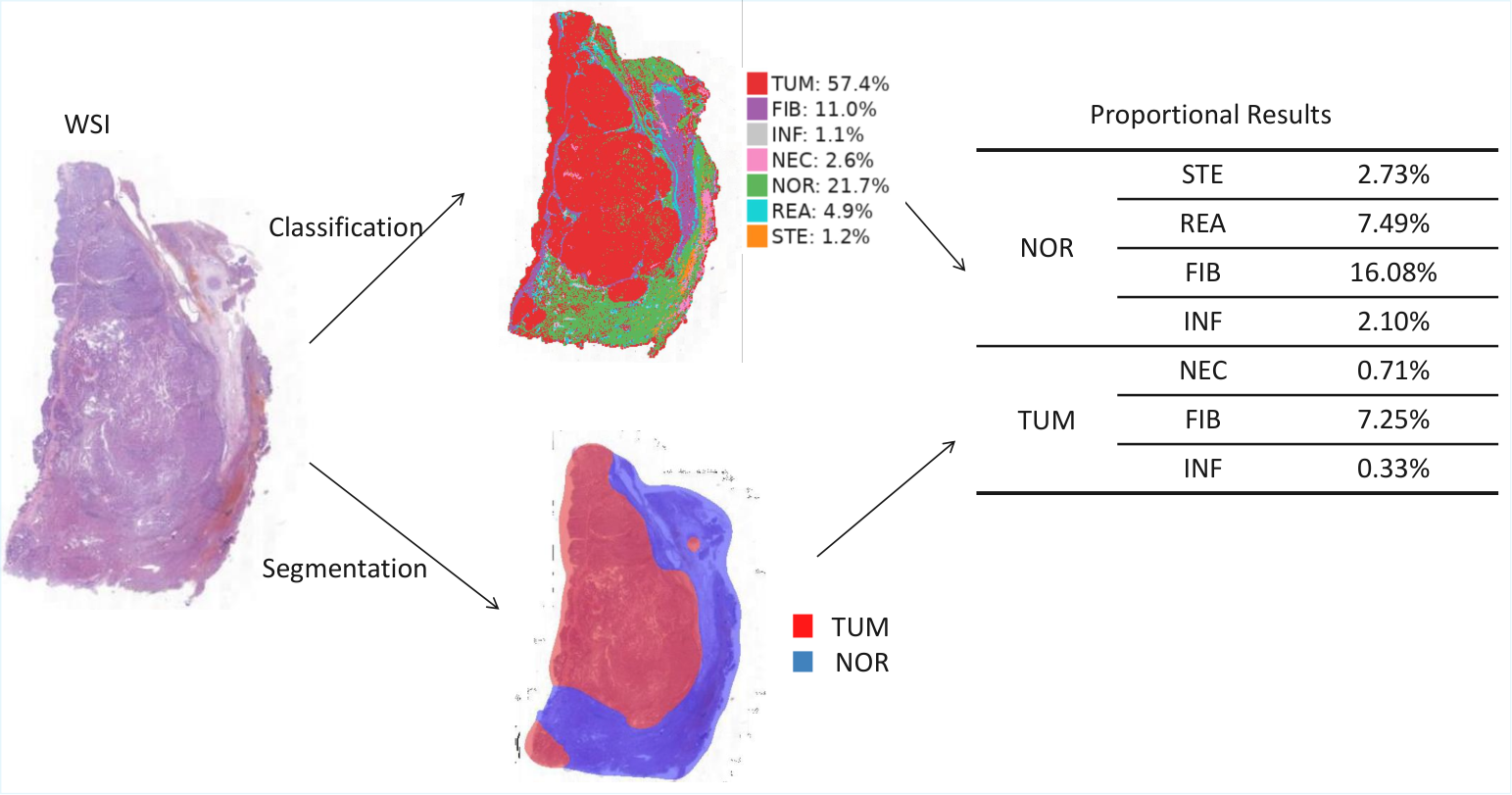 Liver pathology resource teaser