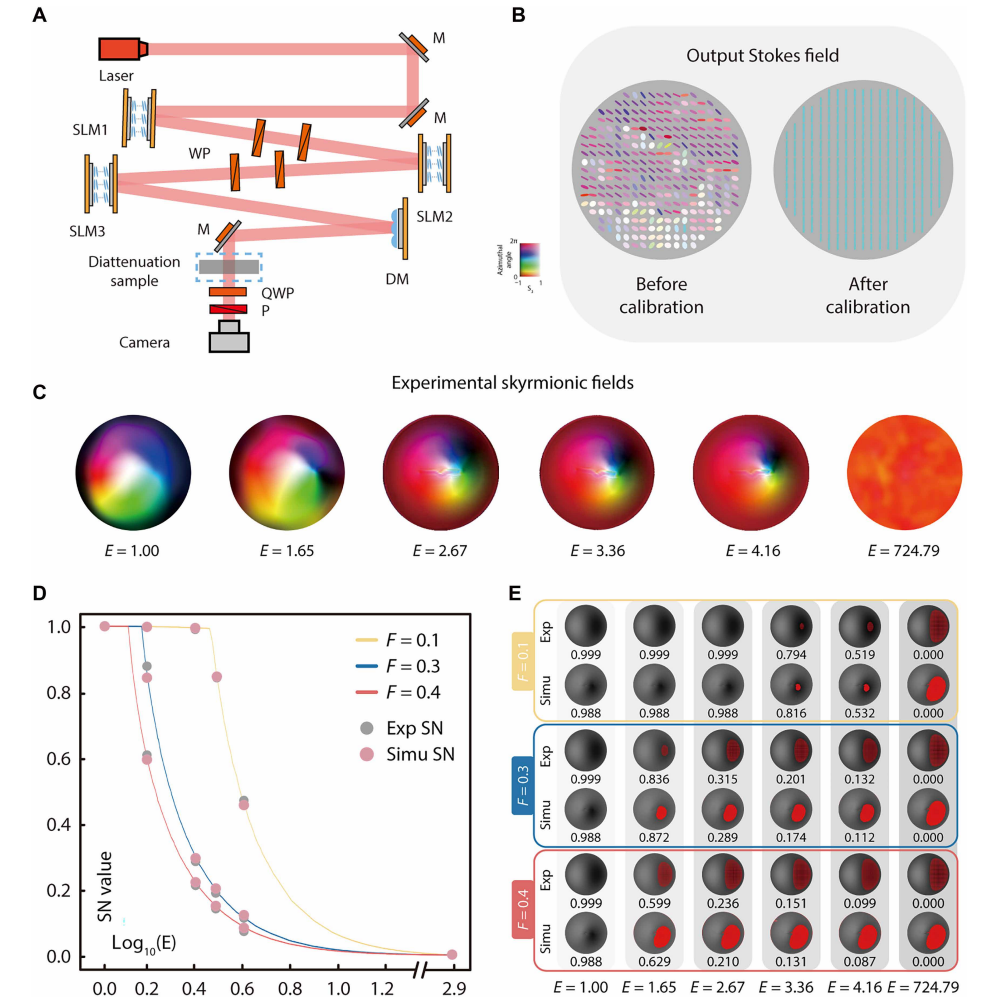 Vectorial Adaptive Optics